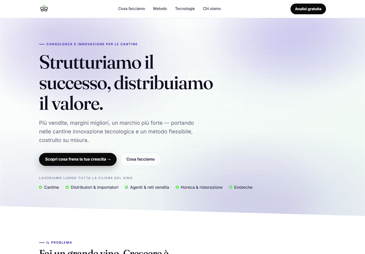 La homepage del sito di Bibi srl